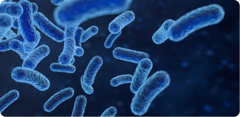 Meningitis por Hib