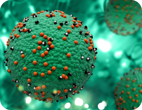 Hepatitis A