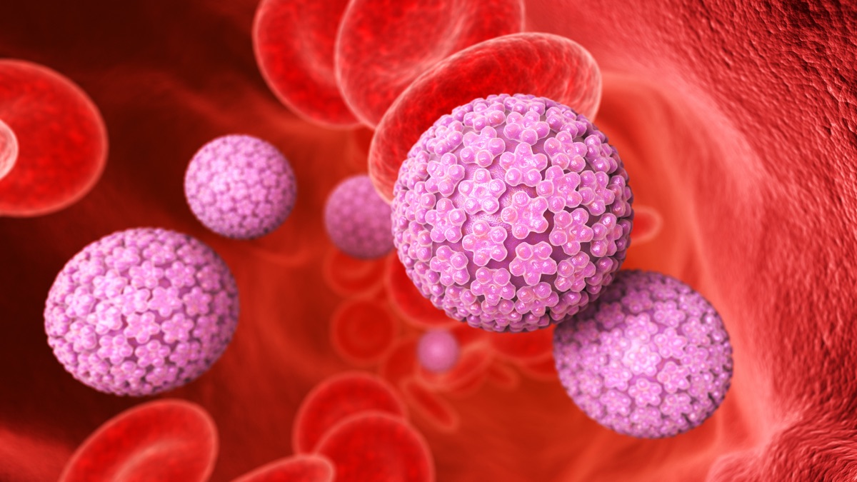 Representación del virus del papiloma humano