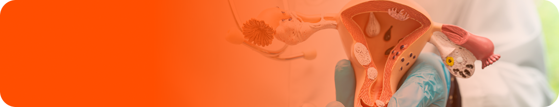 Banner VPH